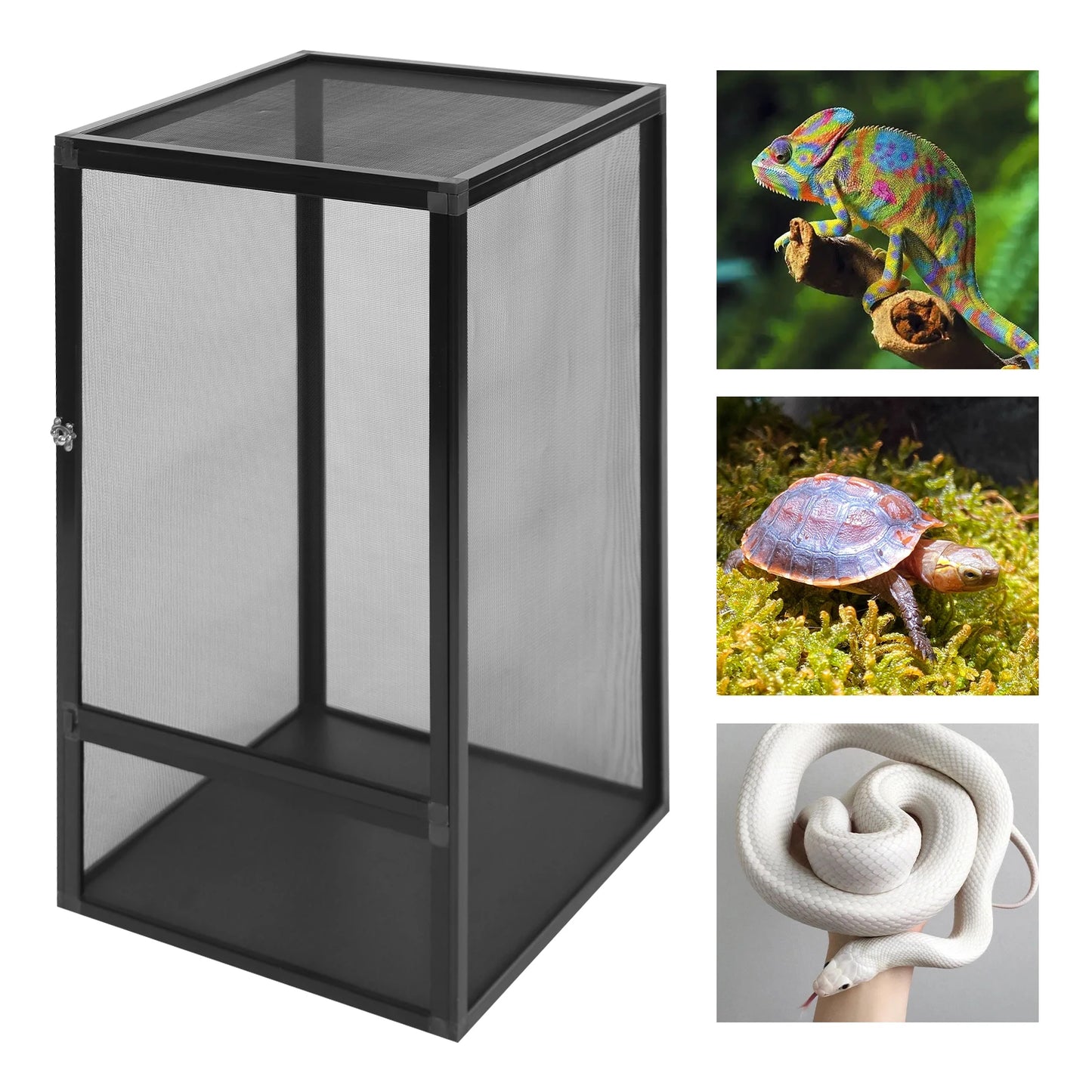 Micro Habitat Terrarium Enclosure Reptile Feeding Box 20kg