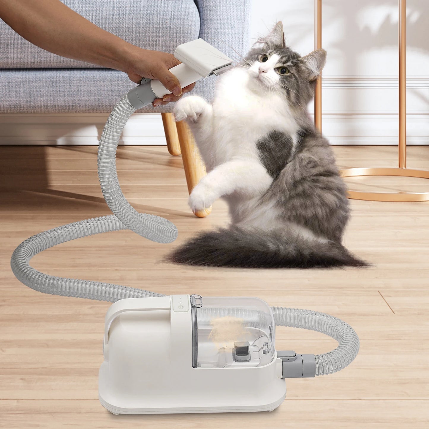 Pet Hair Grooming Tool Set with Low Noise Trimmer Combing and Suction Power