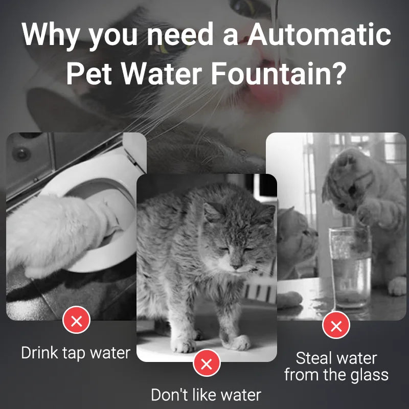 ROJECO Smart Cat Water Fountain Automatic Pet Dispenser with Filters
