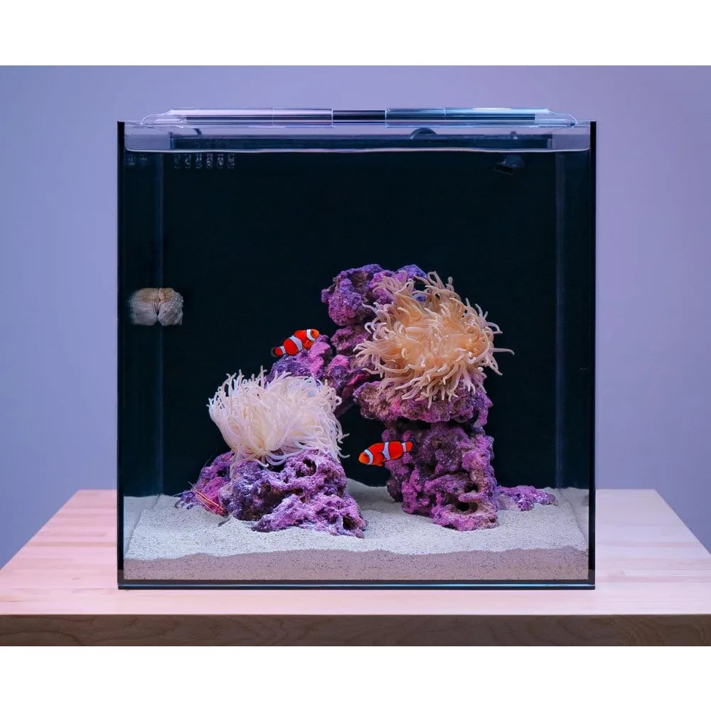 15 Gallon Clownfish Saltwater Aquarium Kit with App Control