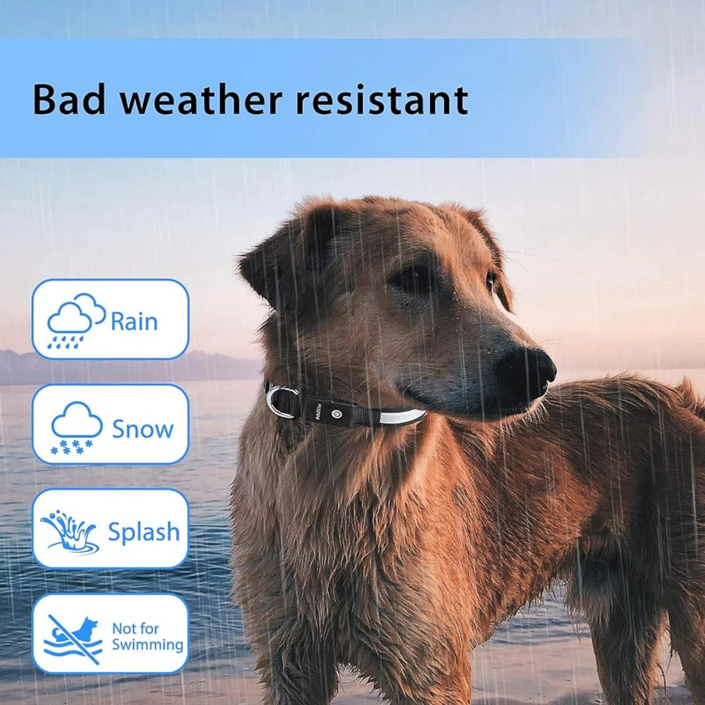 Waterproof LED Light Up Dog Collar for All Sizes Stylish and Safe at Night