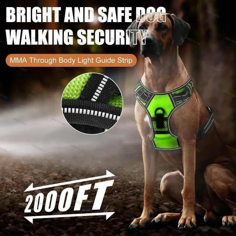 LED Dog Harness with USB Rechargeable Lights for Safe Night Walking