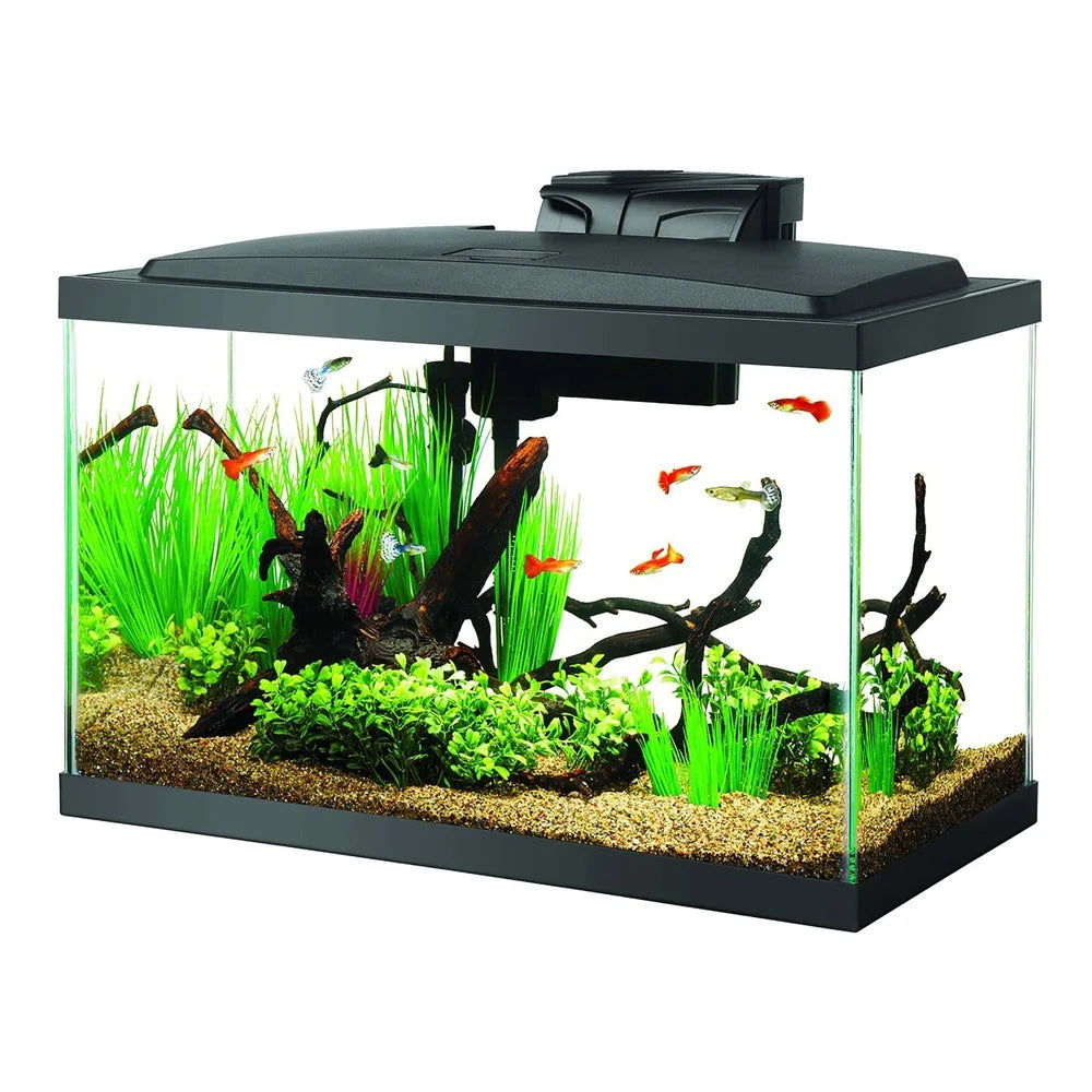 10 Gallon Glass Aquarium Starter Kit With LED Light