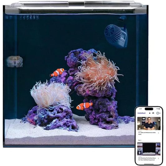 15 Gallon Clownfish Saltwater Aquarium Kit with App Control