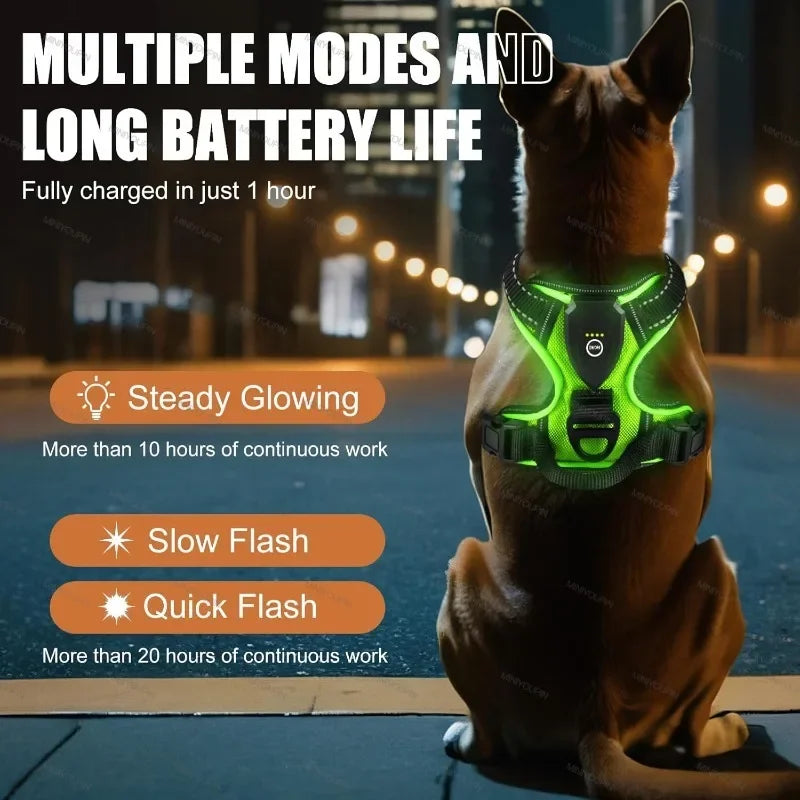 LED Dog Harness with USB Rechargeable Lights for Safe Night Walking