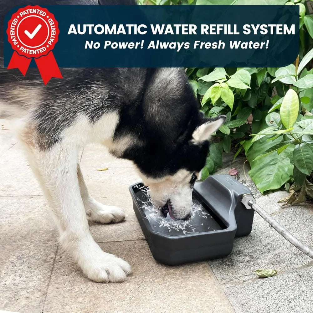 Automatic 1 Gallon Dog Water Dispenser for Indoor and Outdoor Use