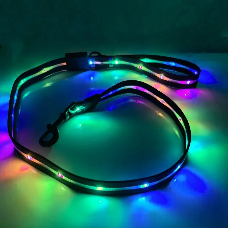 Colorful LED Dog Leash with USB Charging Light for Outdoor Adventures