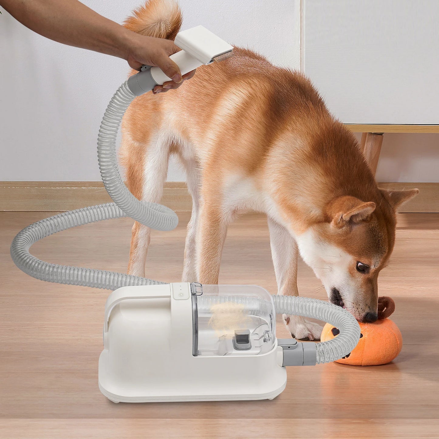 Pet Hair Grooming Tool Set with Low Noise Trimmer Combing and Suction Power
