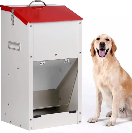 Automatic Dog Feeder for Large Dogs 50Lbs Galvanized Gravity Pet Feeding Station