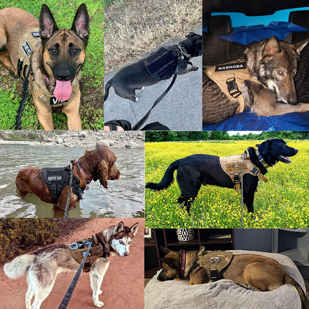 Military Dog Harness Set with Leash Bags Patches for Tactical Training