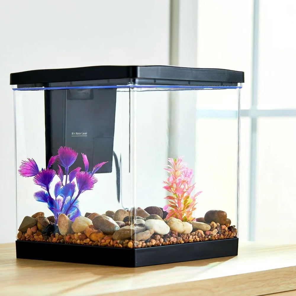 5 Gallon Plastic Aquarium Tank with Internal Filter and LED Light for Fish