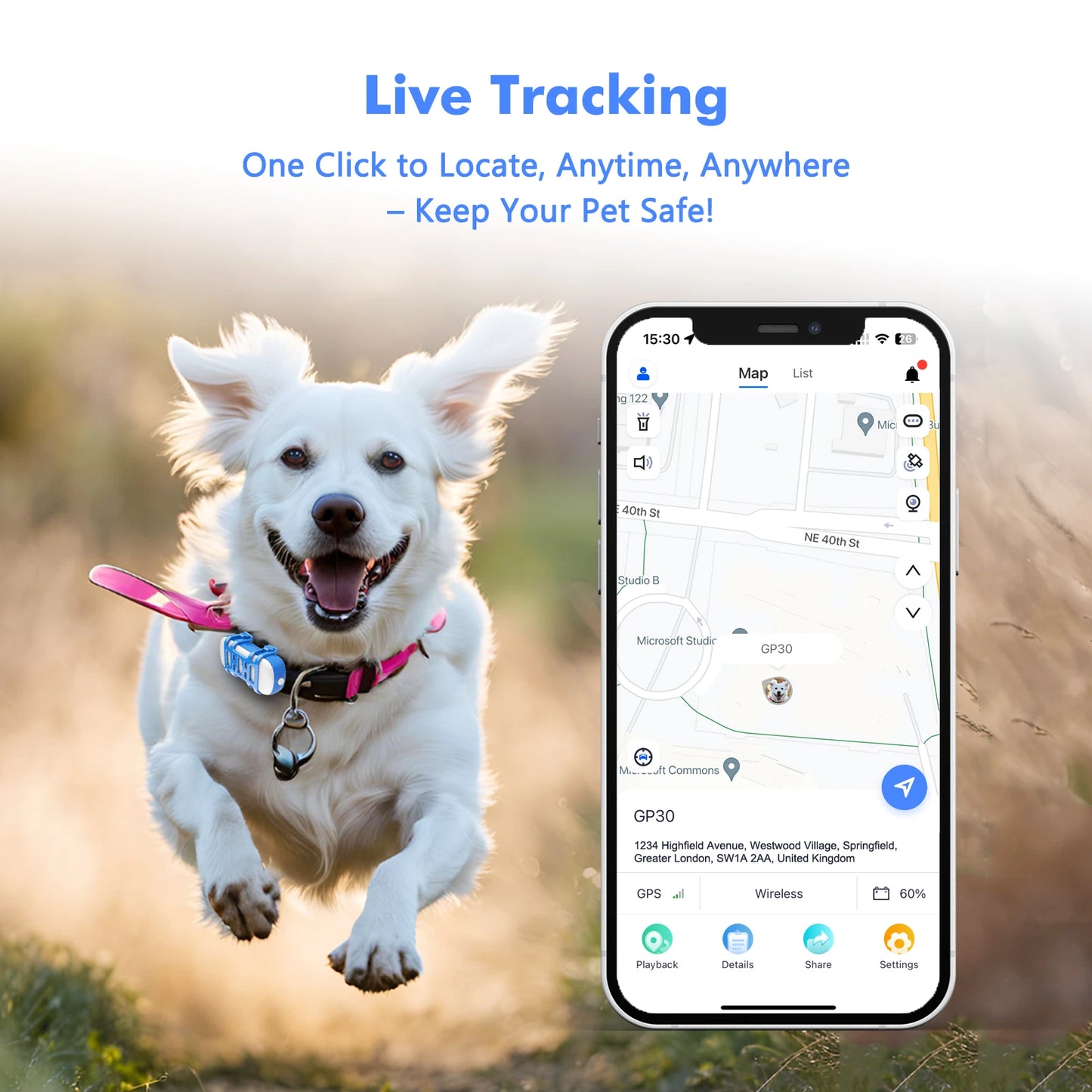 4G Dog Cat GPS Tracker Waterproof Smart Locator with Live Tracking App